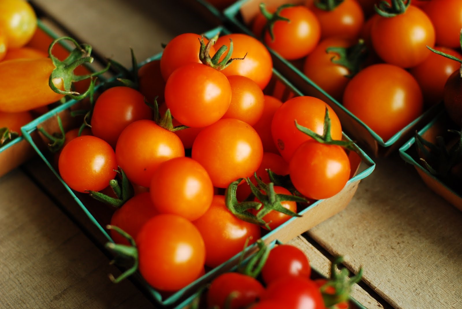 fresh tomato